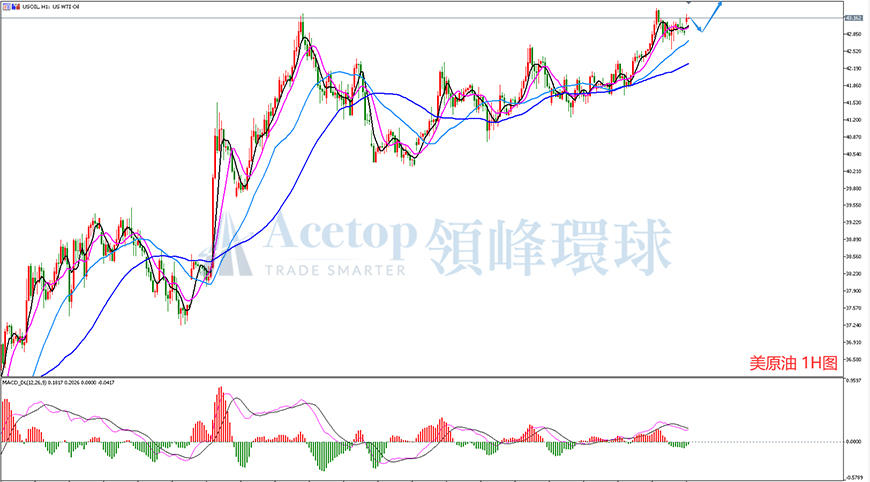 领峰环球-美原油走势图