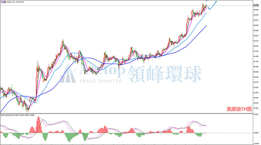 领峰环球-美原油走势图
