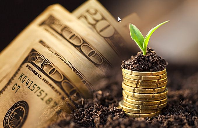 外汇投资怎么样